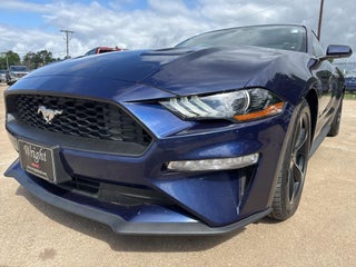 2019 Ford Mustang EcoBoost